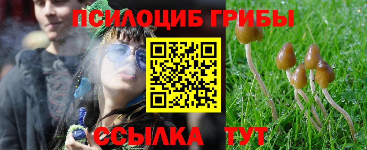 закладки  Псилоцибиновые грибы мицелий  Галлюциногенные грибы прущие грибы  Вход с VPN  Муравленко 